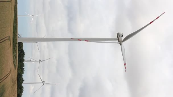 Sztum Poland Circa July 2019 Windmills Poland Sztumska Wies Cloudy — Stock Video