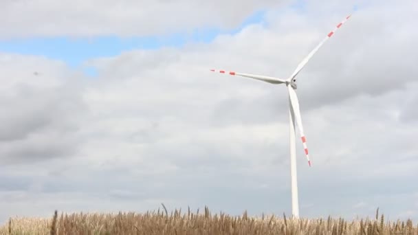 Windmühlen Polen Bewölkte Landschaft Der Europäischen Landschaft — Stockvideo