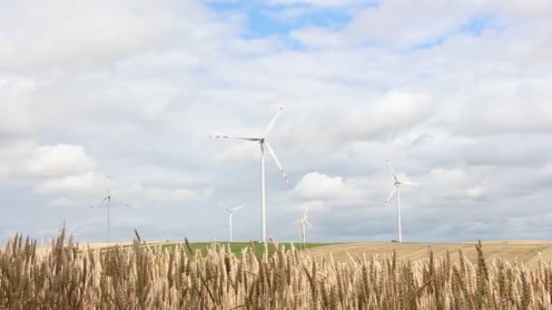 Moinhos Vento Polónia Paisagem Nublada Paisagem Rural Europeia — Vídeo de Stock