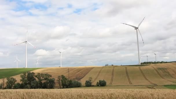 Moinhos Vento Polónia Paisagem Nublada Paisagem Rural Europeia — Vídeo de Stock