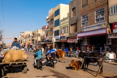 Bikaner, Hindistan - Mart 2018. Bikaner 'de sokak trafiği.