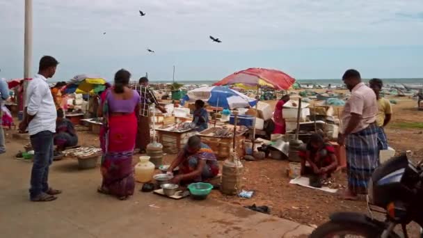 Chennai India Circa Dicembre 2019 Mercato Locale Del Pesce Sulla — Video Stock