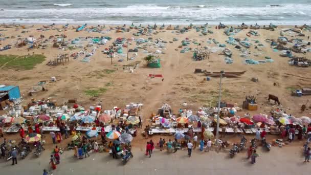 Chennai India Circa December 2019 印度钦奈海滩附近公路上的当地鱼类市场 — 图库视频影像