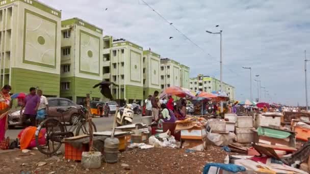 Chennai Hindistan Aralık 2019 Chennai Hindistan Sahilinin Yakınındaki Yerel Balık — Stok video