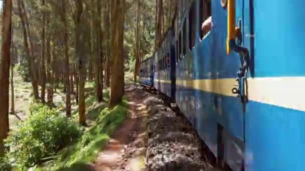 Coonoor Tamil Nadu Inde Vers Décembre 2019 Chemin Fer Montagne — Video