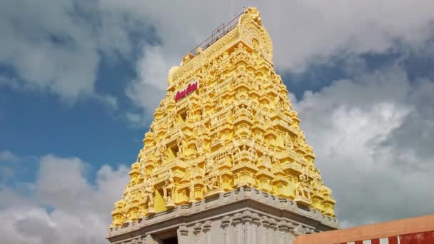 Rameshwaram Hindistan Aralık 2019 Rameshwaram Daki Arulmigu Ramanathaswamy Tapınağı — Stok video