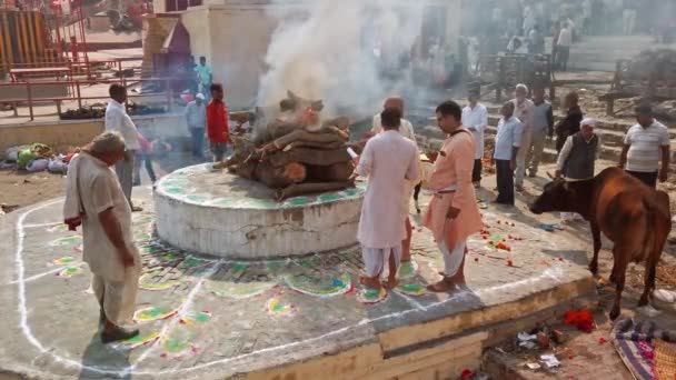 Varanasi Inde Vers Novembre 2019 Harishchandra Ghat Est Des Ghats — Video