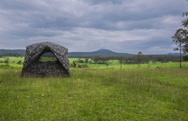 Savana yağmurlu sezonu
