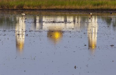 Yansıma inanç (İslam işareti)