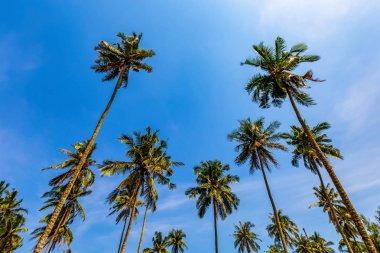 Genel Bakış Kood Adası (Koh Kood) bulunan Tayland doğu kesiminde ilk gezisi, çok güzelmiş.