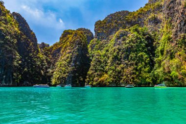 Phi Phi Leh, Pileh Bay ve Loh Samah Bay güzelliğini görmek için bir tekne almak.