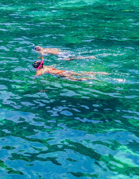 Návštěvníci Jsou Potápění Vidět Krásu Moře — Stock fotografie