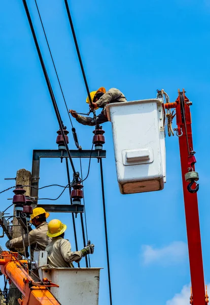 The electrical worker are repairing the electrical system