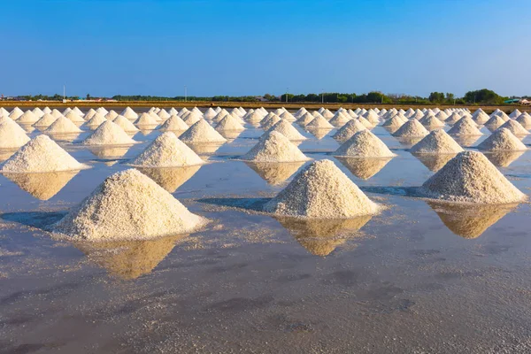 Salt industry in the morning light at Phetchaburi Province,Thailand