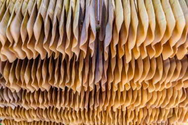 Koh Mak'taki küçük kauçuk endüstrisi bu adadaki insanların mesleklerinden biri.