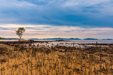 Koh Mak, Trat, Tayland'da mutlu tatiller