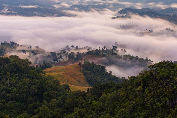 山和雾 背景的软焦点 — 图库照片