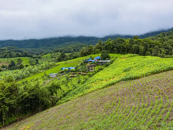 Bong Piang Rice Terraces Rainy Season Chaingmai Thaïlande — Photo