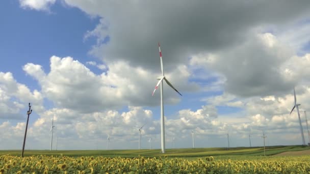 Paisaje Con Turbinas Eólicas Campo Lapso Tiempo — Vídeos de Stock