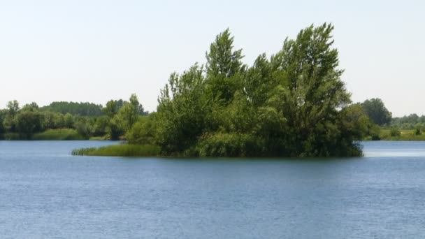 Une Île Naturelle Pleine Verdure Sur Lac — Video