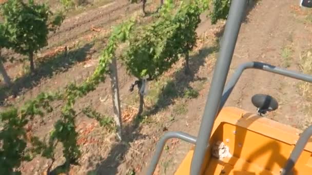 Olhar Máquina Colheita Uvas Para Vinhas Atirar Movimento — Vídeo de Stock