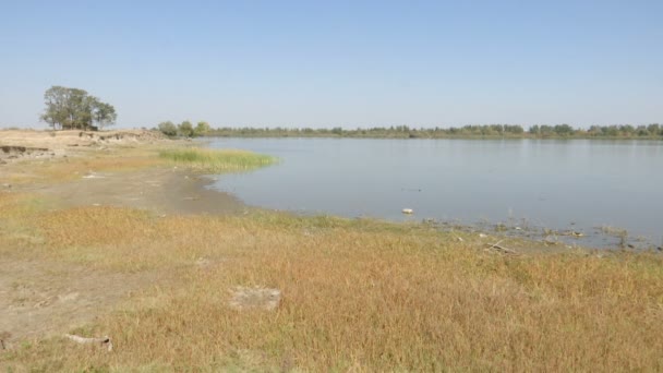 Pantano Amplia Cacerola Disparar Desde Costa — Vídeo de stock