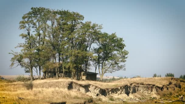 Landschaft Aus Verlassenem Haus Deliblatosand Die Größte Wüste Europas — Stockvideo