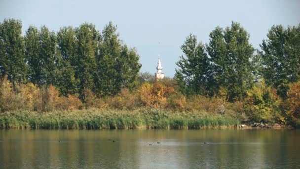 Pemandangan Danau Dengan Menara Gereja Tengah Bingkai Musim Gugur — Stok Video