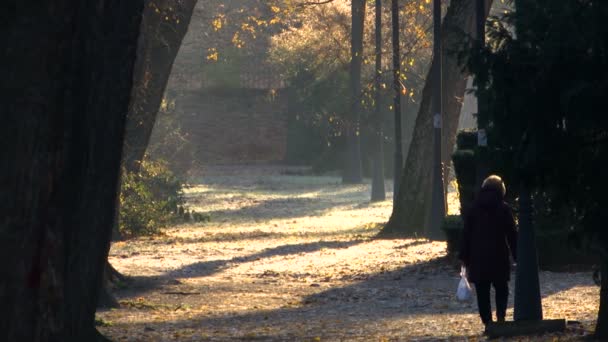 彼の手で白い袋に晴れた秋の日に公園で歩行 — ストック動画