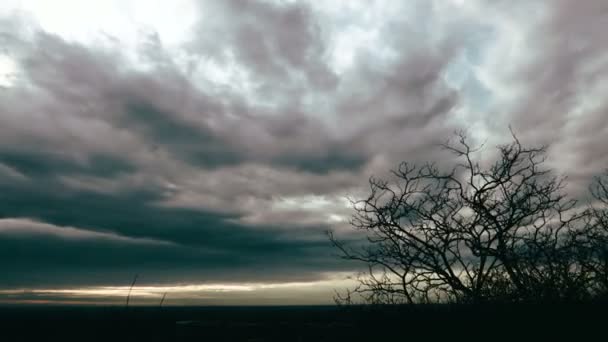 Tempo Lapso Dramático Horror Nuvens Com Uma Árvore Sem Folhas — Vídeo de Stock