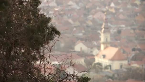 教会が付いている都市のパノラマに風に揺れる枝から変更フォーカス — ストック動画