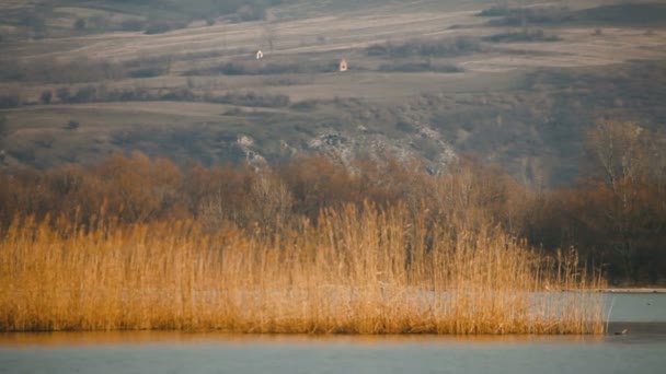 Береги Річки Дунай Очеретом Горою Зимовий Час — стокове відео