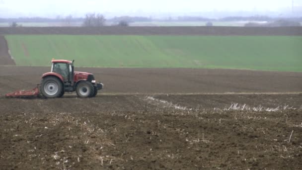 Trattore Sul Campo Gira Prepara Lavorare Sul Campo — Video Stock