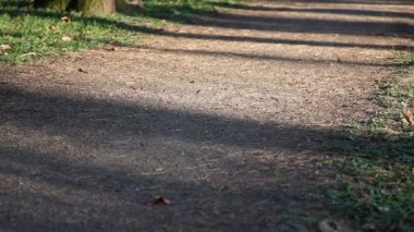 Kadın parkta spor malzemeleriyle yürüyor. Uzun gölgeli sabah güneşi.