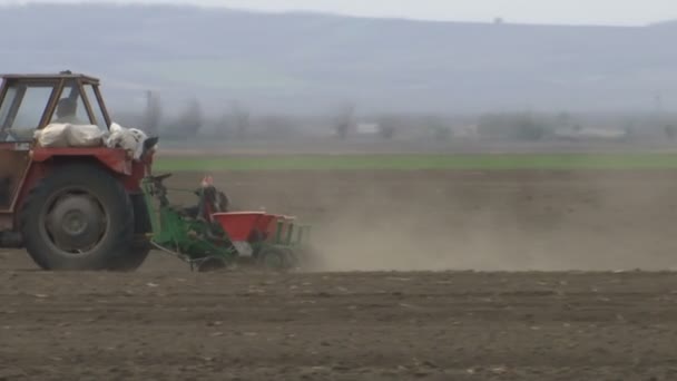 Тракторные Работы Посев Зернового Поля Ветреный День — стоковое видео