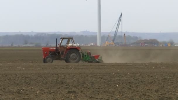 Ciągnik Zasiane Pole Silny Wiatr — Wideo stockowe