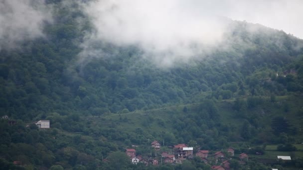 Зеленый Горный Лес Облаками Проходящими Выше — стоковое видео