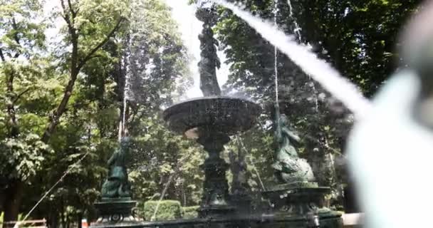 公園で水をはね込む鉄の噴水の広いショット — ストック動画