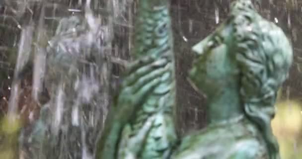 Статуї Жінок Старій Воді Фонтану Падає Зміною Фокусу — стокове відео