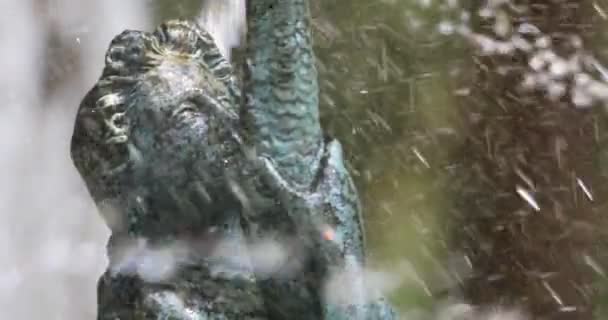 Fountain Water Splash Statue Woman Holding Fish Her Hand Close — Stock Video