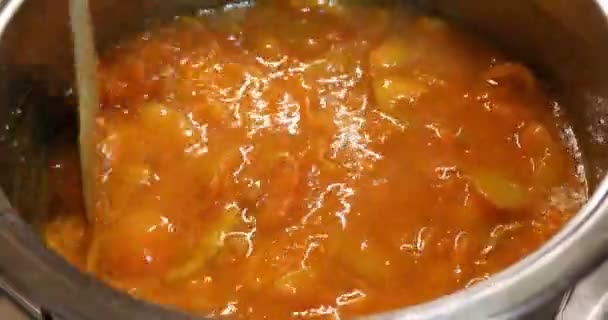 Préparation Une Délicieuse Confiture Abricot Mélanger Dans Une Casserole Métal — Video