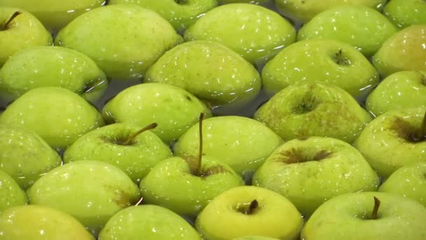 Lots Green Apples Granny Smith Pan Shot — Stock Video