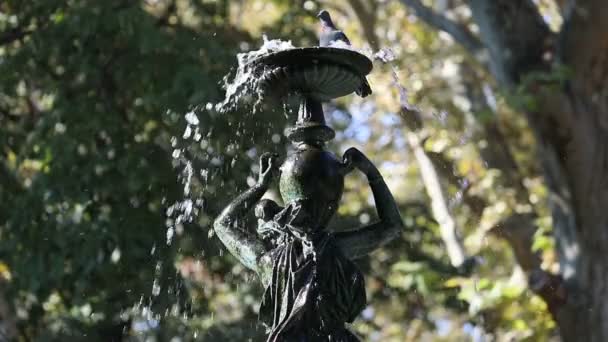 Железная Фигура Фонтане Общественном Парке Брызгами Воды Замедленном Движении Голубем — стоковое видео
