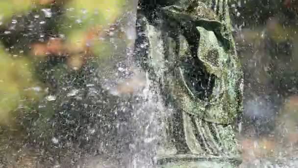 噴水の金属製の彫像の部分に吹き付けられた水は 背景がぼやけてゆっくりと動きます — ストック動画