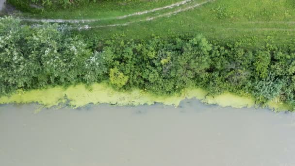 沼の川に架かる古い鉄道橋を渡るドローン飛行 — ストック動画