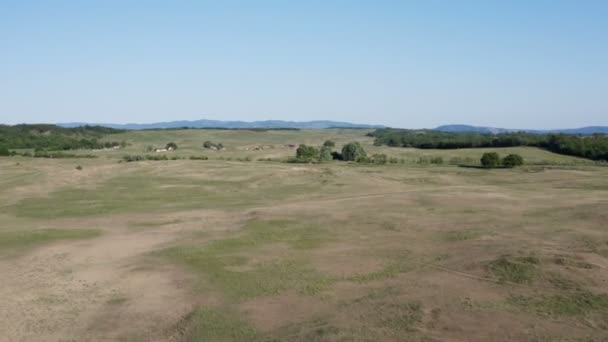 Flight Drone Hunters Watch Tower Deliblato Desert — Stock Video