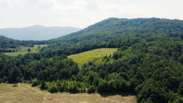 Vuelo Con Dron Sobre Espeso Bosque Las Montañas Con Fondo — Vídeo de stock