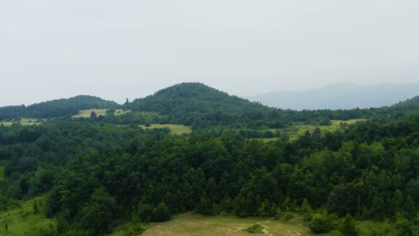Dağların Ortasındaki Kırsal Bir Alanda Bir Ağacın Tepesinden Insansız Hava — Stok video
