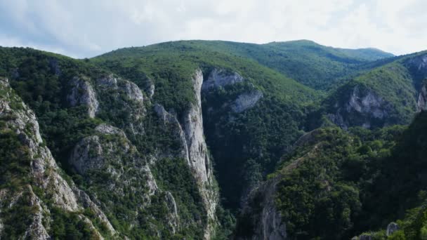 Let Dronem Nad Obrovským Kaňonem Obklopeným Hustým Lesem Uprostřed Hor — Stock video