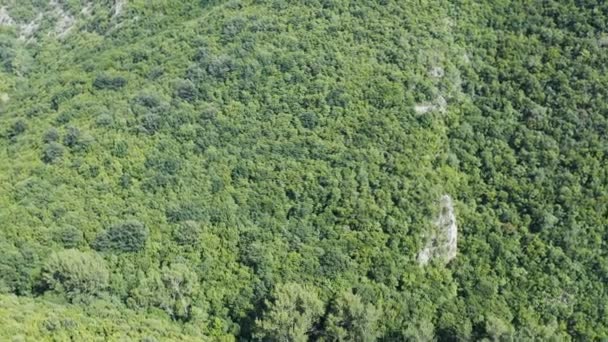 Let Dronem Nad Obrovským Kaňonem Obklopeným Hustým Lesem Okraji Hor — Stock video